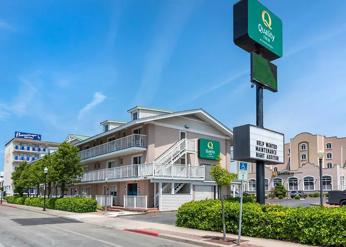 Pets Allowed Hotel Quality Ocean City Beachfront