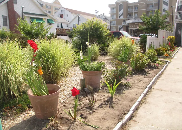 Beach hotel: Nock Apartments