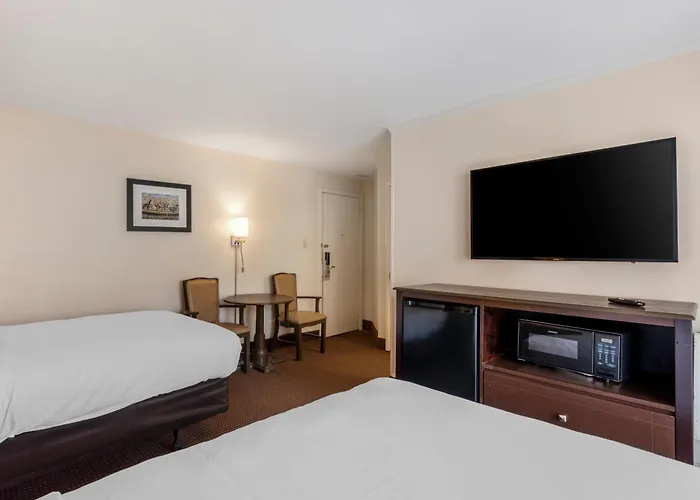 Pets Allowed Hotel Quality Ocean City Beachfront